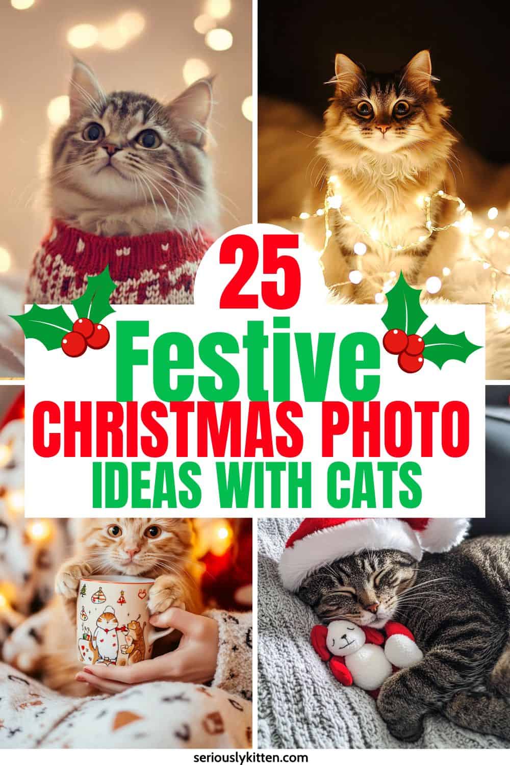 25 Festive Christmas Photo Ideas with Cats
