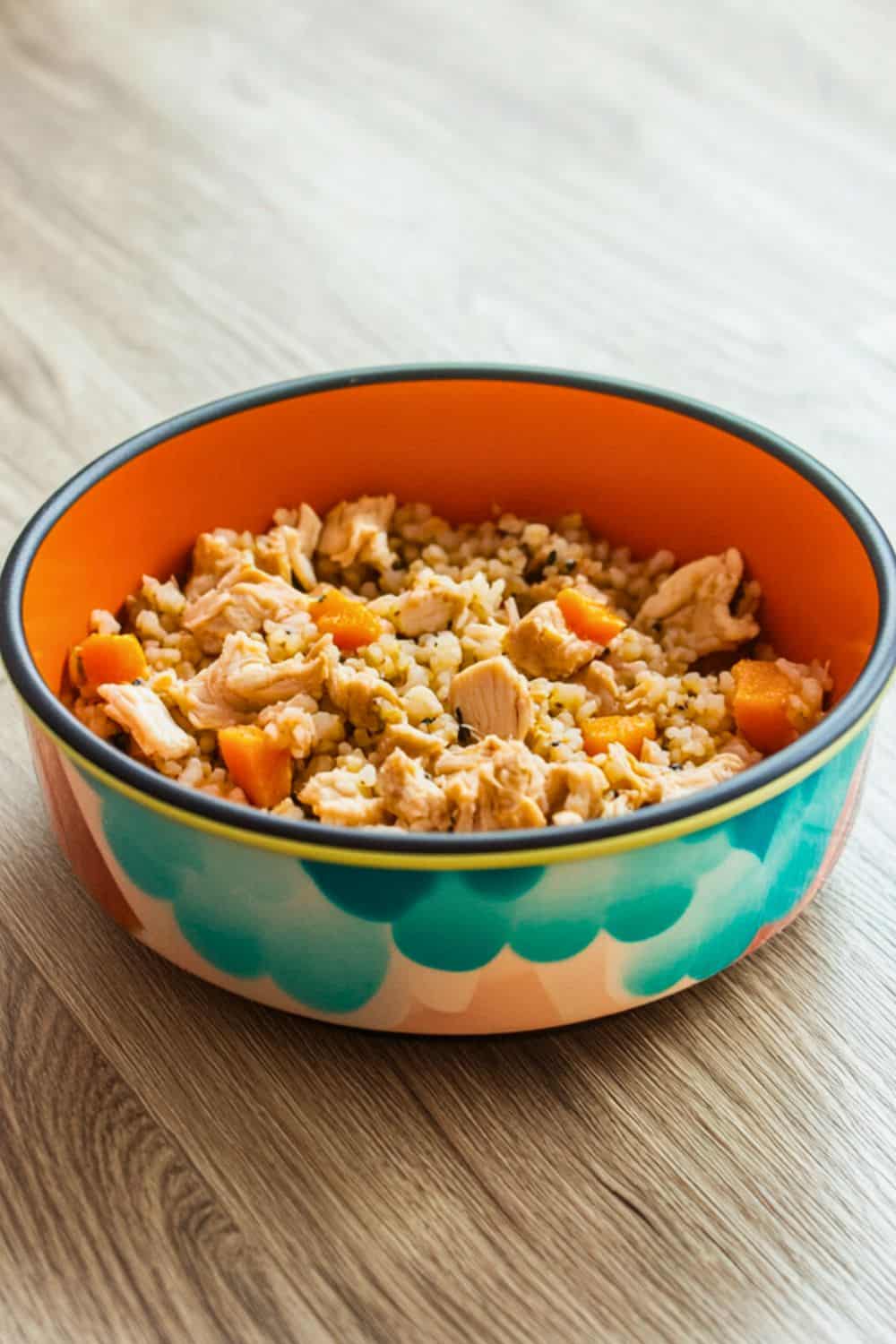 24-easy-homemade-cat-food-recipes
