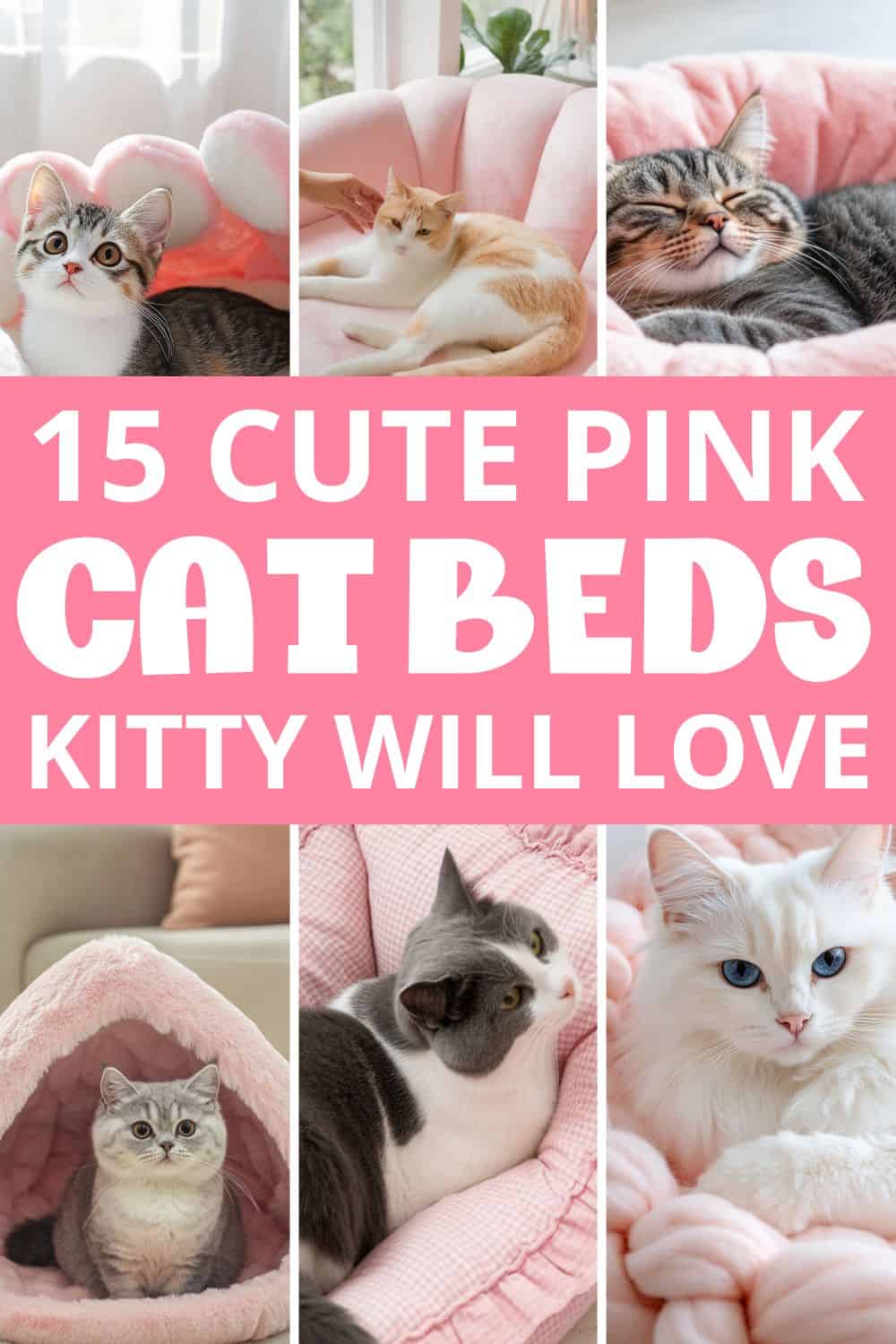 15 Adorable Pink Cat Bed Ideas Your Kitty Will Love — free download