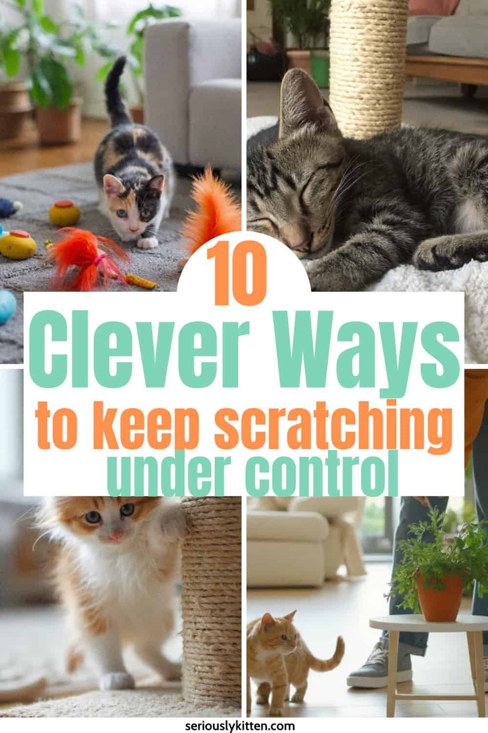 how to get kitten to stop scratching